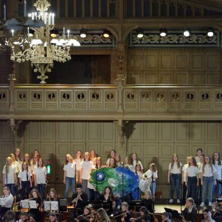 Concert Performance &#8220;Geese Dreams&#8221;